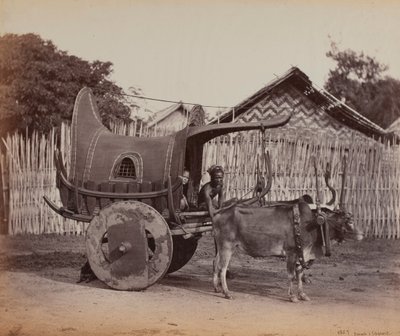 Carro de campo, Birmania de British Photographer